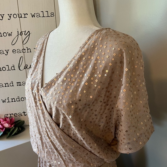 Garnet Hill Champagne Sequined Knit Maxi Dress - Picture 2 of 6